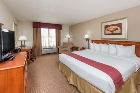 1 King Bed